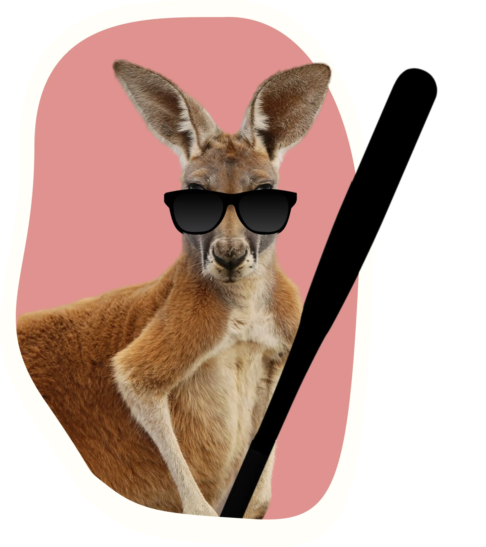 A kangaroo with a bat