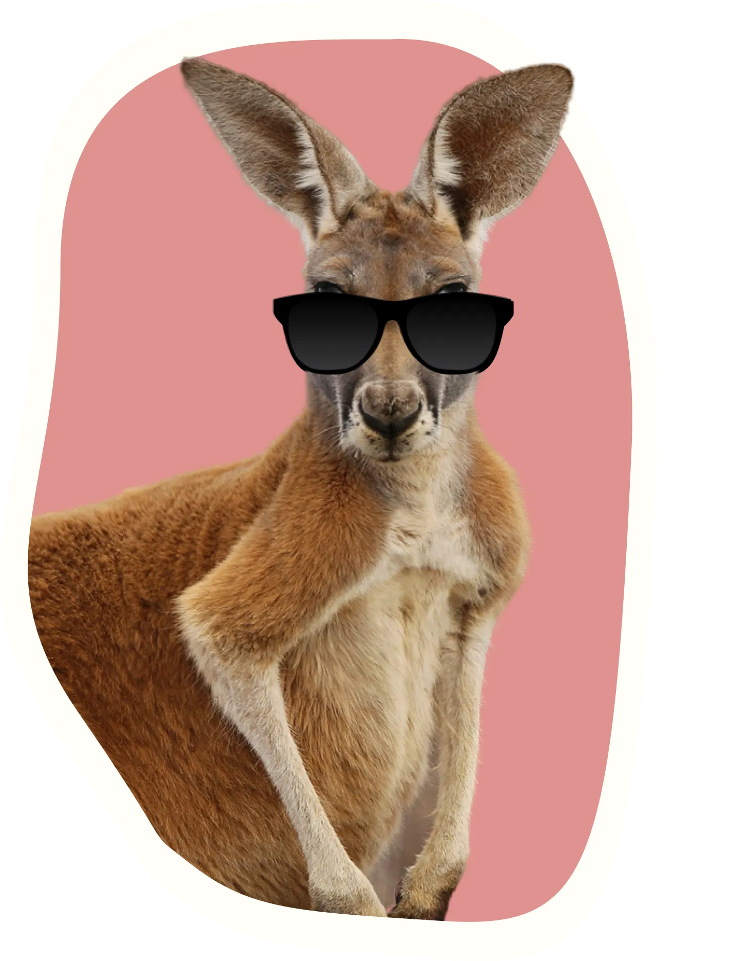Roo is a kangaroo and a sidekick to Beatrice